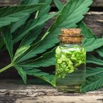 How Does CBD Work